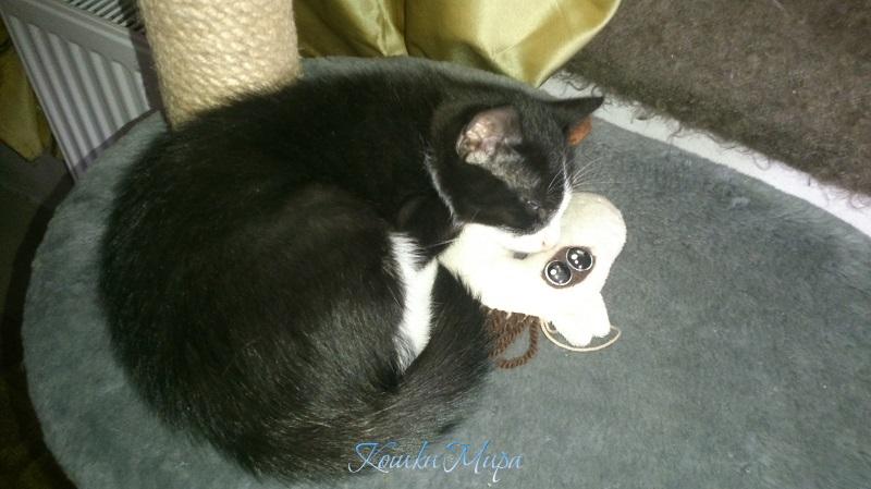 Фишка еще мелкая