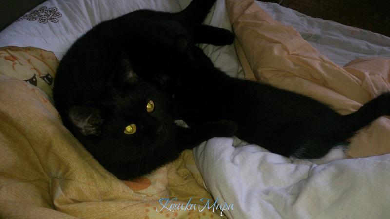 Мелкая пытается найти у старшей молоко. Кайфуют обе