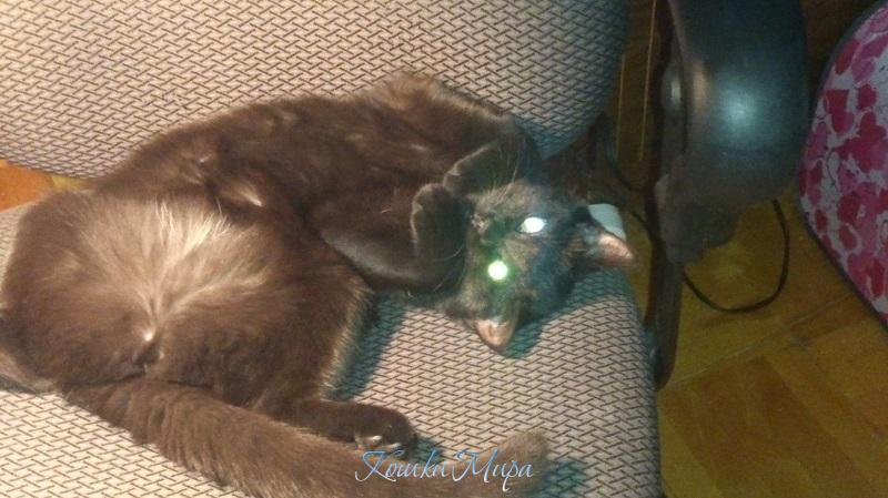 И вот теперь. Дасти старшая красотка