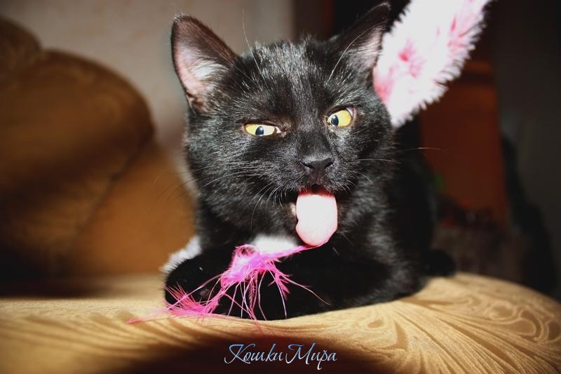 Добыча поймана