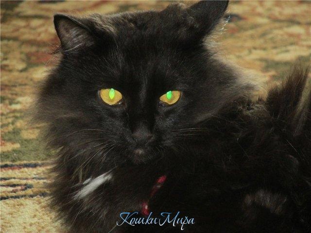 Глаза горят, словно огни