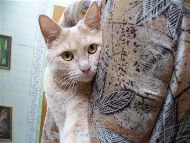 Просто взгляд-магия