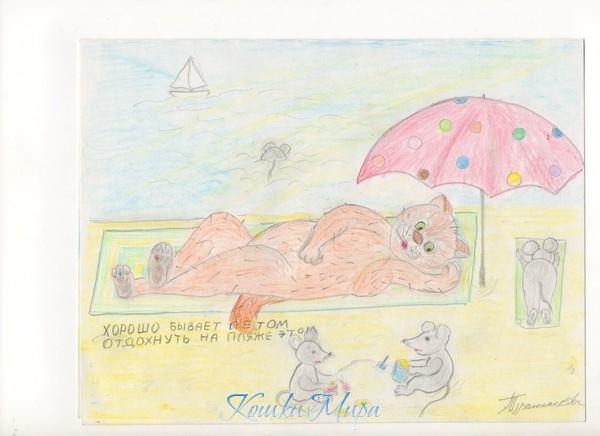 Кот Модератор