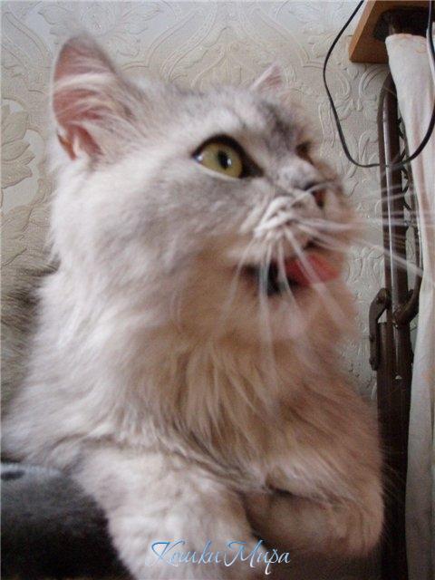 Не подойду!