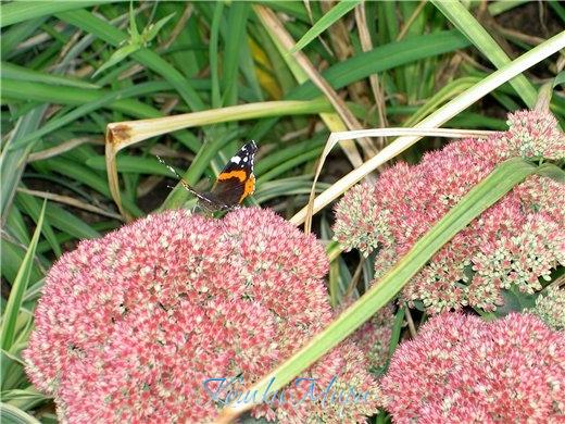 Весна пришла