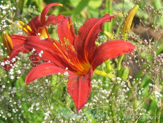 Дуэт "Он и Она"