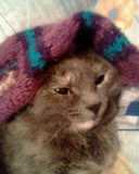 Модная шляпка