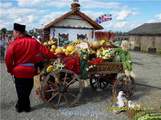 Это сбор урожая и праздник в казачьей станице