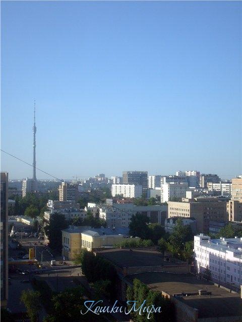 Утро красит нежным цветом,Москва